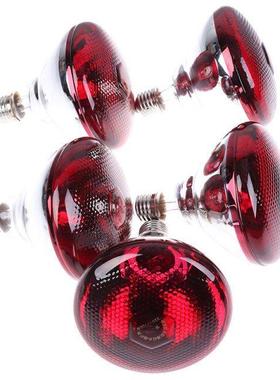 1pc Pet Brooder Hatch Chicken Piggy Dog Cat Thermal Lamp Sma