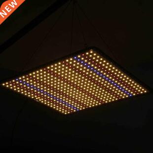 896B LED Grow Lights with Full Spectrum Wavelength High Ir G