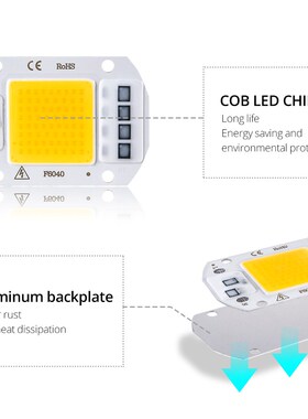 COB LED Chip Lamp 220V 10W 20W 30W 50W LED Light Beads Bulb