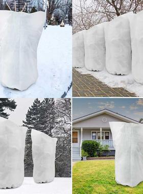 Plant Cover Winter Warm Cover Tree Shrub Plant Protecting Ba