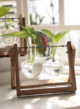 Hydroponic Plant Flower Vases Terrarium Vintage Flower Pot B