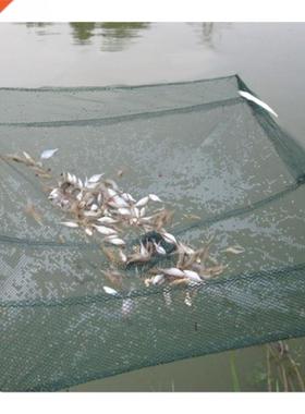 Shrimp Fish Net Outdoor Folding Fishing Bait Net 60*60cm Por