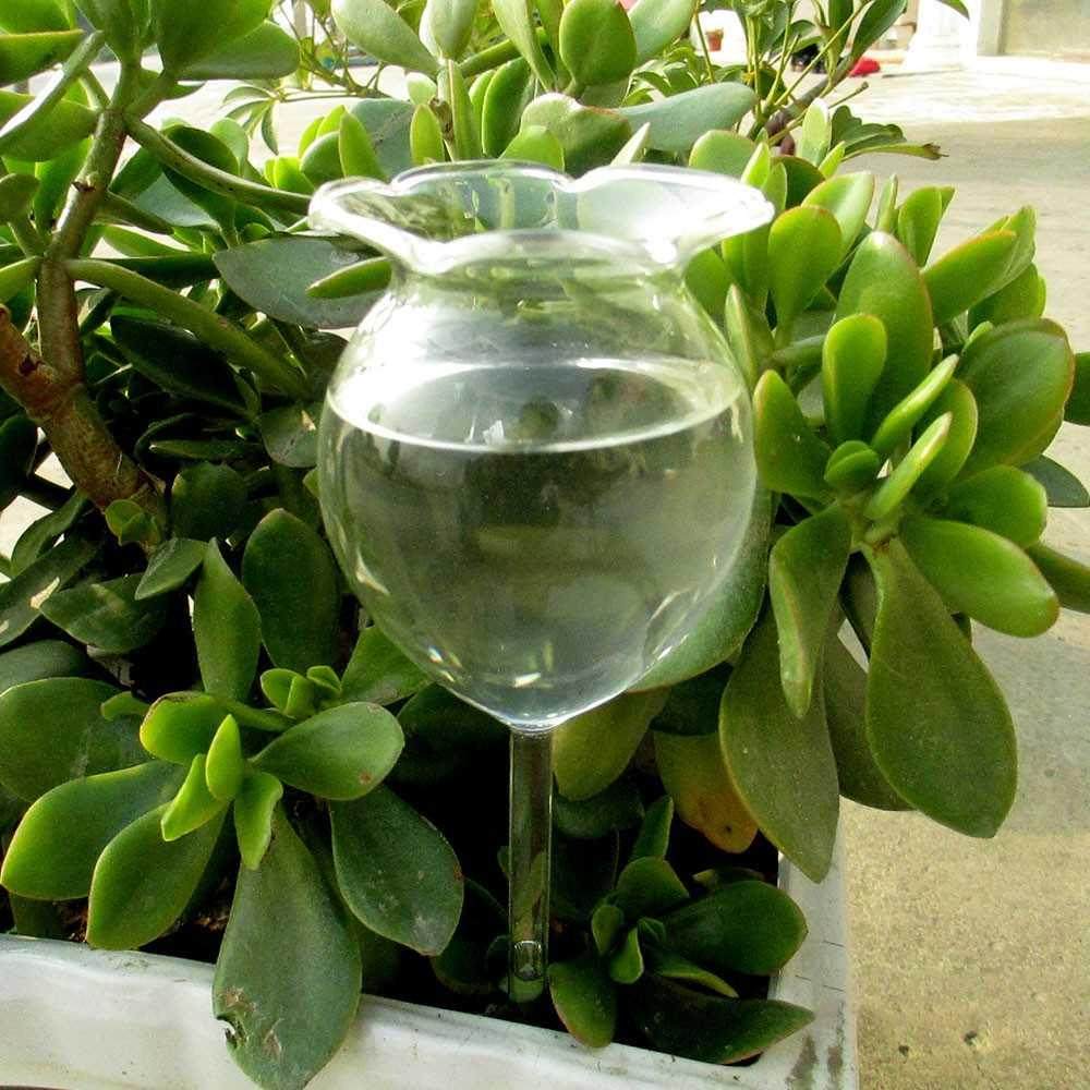 1 Shapes House Plants Flowers Water Feeder Automatic Self W