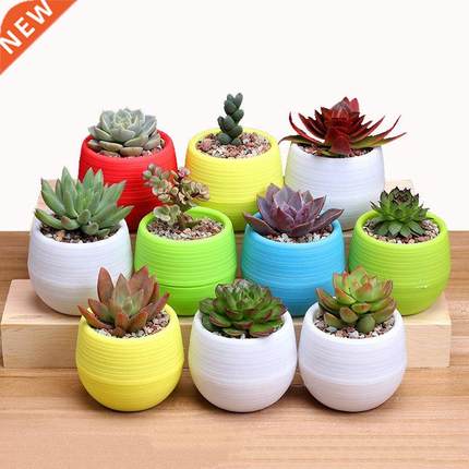 7x7cm Plant Vases Plastic Flower Pot Colorful Succulent Plan