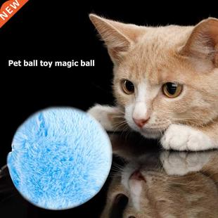 Pet Funny Bauble Bite Squeak Electric Durability Toy Auto