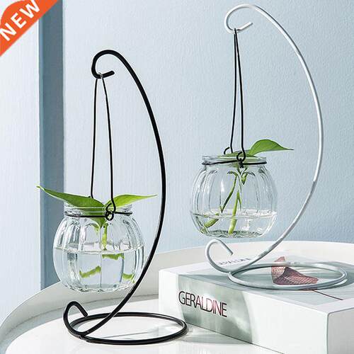 Hanging Glass Vase Creative Transparent Ornaments Hanging Bo