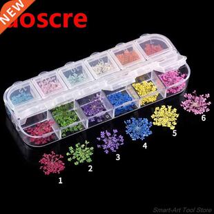24Pcs Real Pressed Flower Anne's Lace Dried Flower Nail