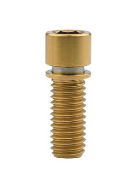 Xingxi M7 x 20 25mm Titanium Ti Bolt Cylindrical Head Screw
