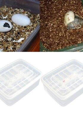 Reptile Egg Tray Snake Lizard Egg Hatching Incubator Box Gec