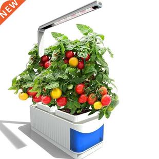 Kit Plant Vegetable Herb Cult Flower Garden Lamp Indoor Grow