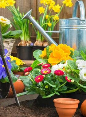 1pc All-steel Hardened Hollow Hoe Farming Shovel Tool Planti