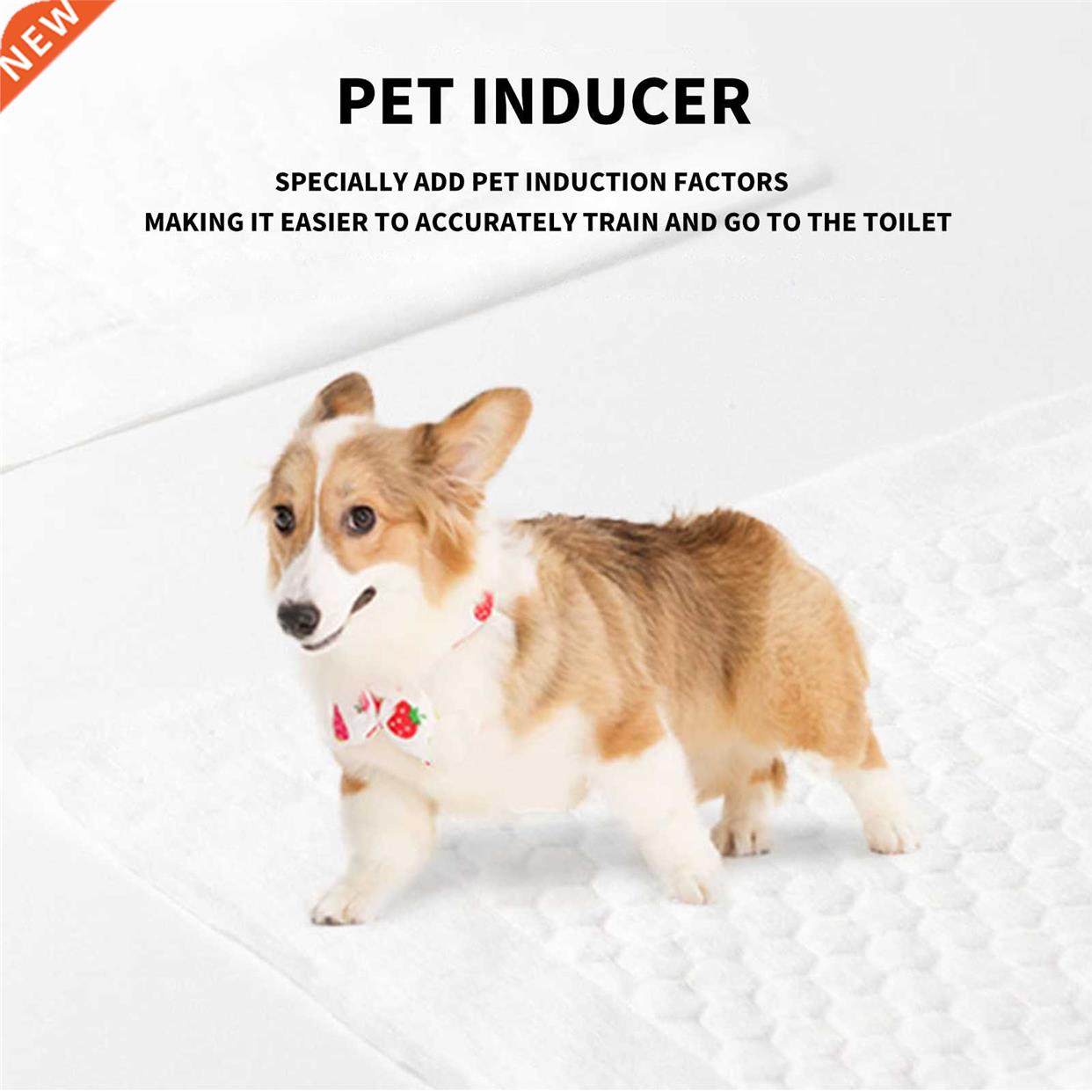 Deodorizing Super Absorbent Indoor Outdoor Cleaning Tool 5 L