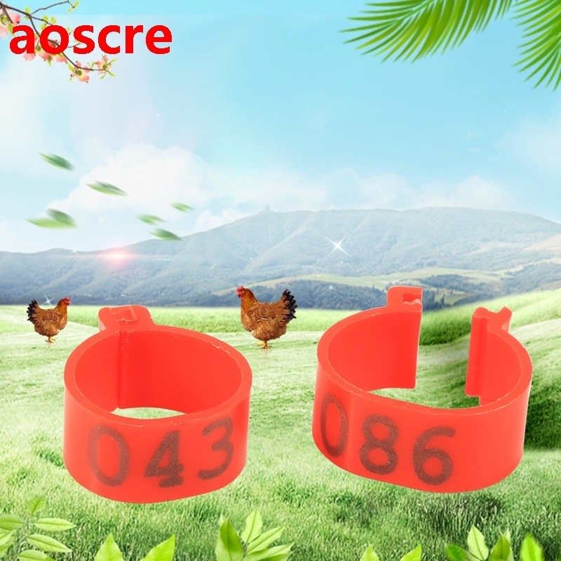 100Pcs Chicken Foot Ring Poultry Leg Digital Label Buckle Ri