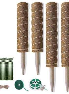 Moss Pole , Monstera Coir Totem Pole 4 Pack, 30cm and 40cm M