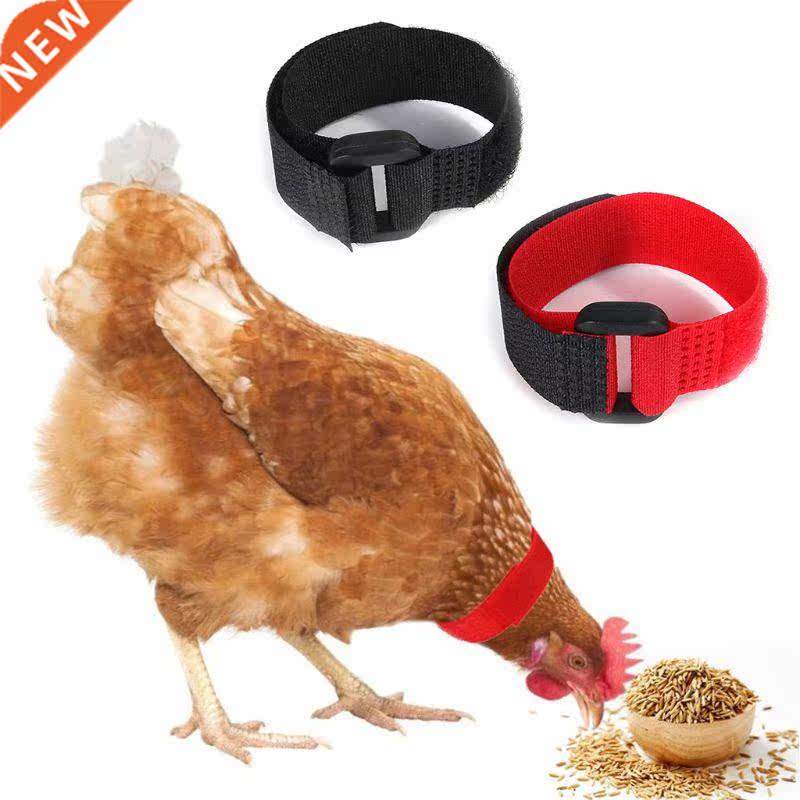 6 Pcs Adjustable Chicken Collars Durable Anti-Hook Noise Fre