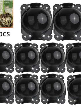 10pcs Plant Rooting Ball Grafting Rooting Growing Box Breedi