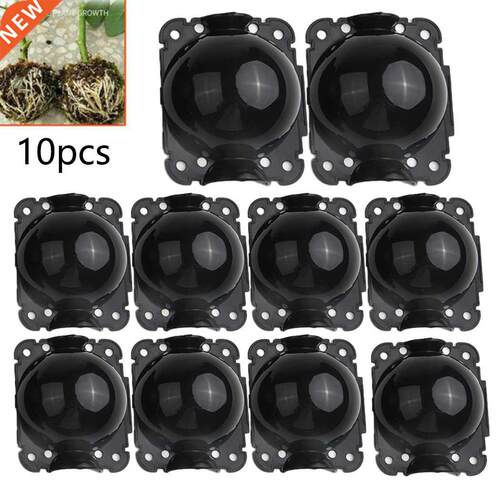 10pcs Plant Rooting Ball Grafting Rooting Growing Box Breedi