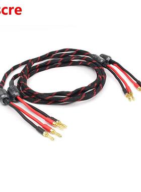 HI-End Electric Speaker Cable HIFI Audiophile Cable banana t