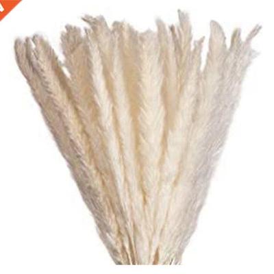 Elegant Dried Flowers With High-Quality Pampas Grass Decorat