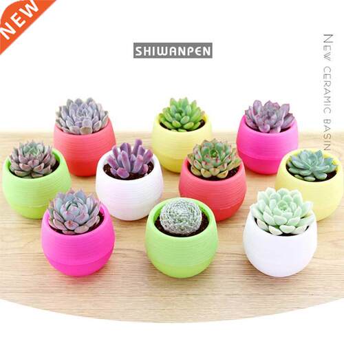 5pcs/lot 7*7cm Wholesale Plastic Nursery Pots Succulent plan