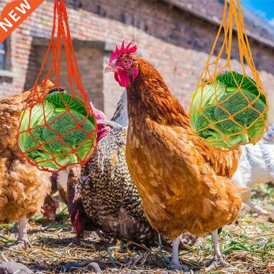 Chicken Toy-Chicken Veggies Skewer Fruit Holder Hanging Feed