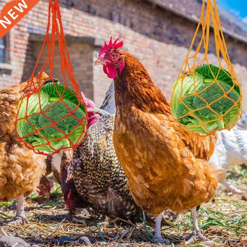 Chicken Toy-Chicken Veggies Skewer Fruit Holder Hanging Feed
