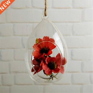 8 Cm Succulent Planters Hanging Terrarium Hanging Glass Vase