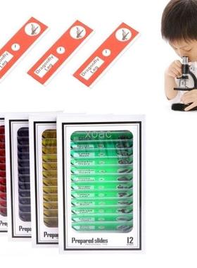 48 Pcs Prepared Microscope Slides Specimen Animals Insects P