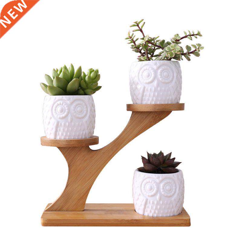 2 Styles en céramique succulents Pots jardiniè