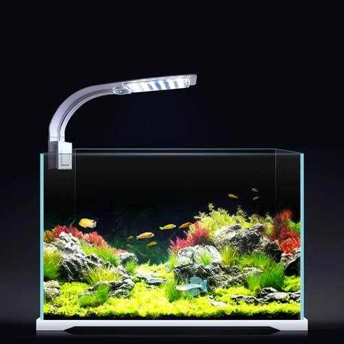 LED Aquarium Fish Tank Light Clip-on 5W/10W/15W LED Plants G