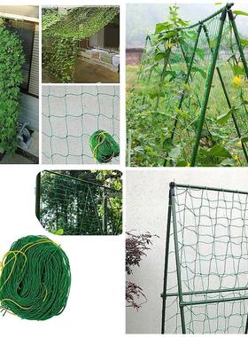 Climbing Bean Plant Nets Grow Fence Garden Green Nylon Trell