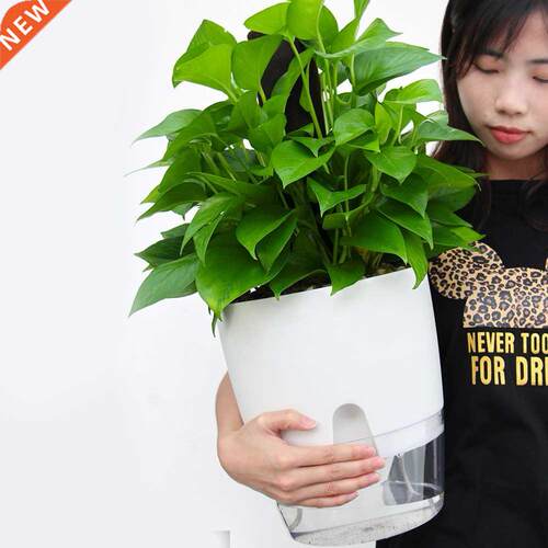 Home Office Decor Hydroponic Flowerpot Practical Plastic Pla