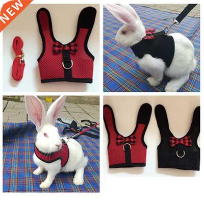 Pet Mesh Soft Harness With Leash Small Animal Vest Lead 适用