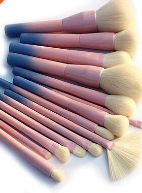 Gradient Color Pro 14pcs Makeup Brushes Set Cosmetic Powder
