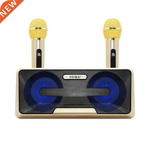 Sdrd301 Wireless Microphone Household Ktv Outdoor Portable H