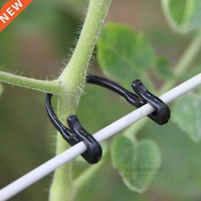 100Pcs Tomato s Trellis Garden Vegetable Binder Twine Plan