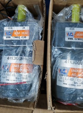 库存30W定速电机4IK30GN-C/4GN3K 单相2 议价