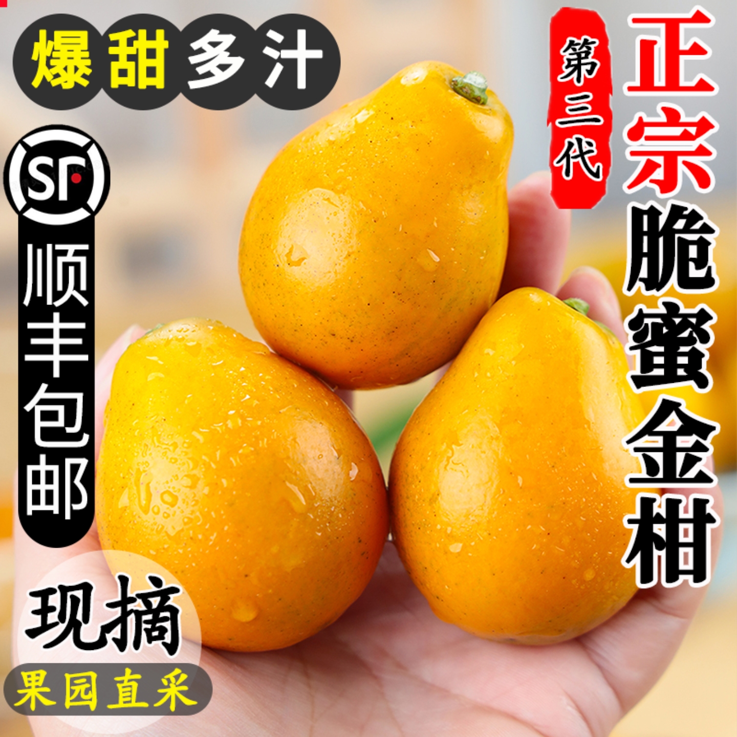 正宗脆蜜金柑丨第三代丨纯甜爆汁