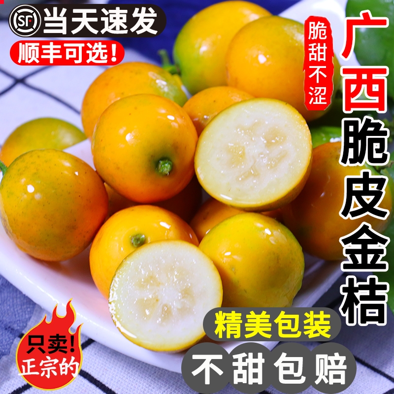广西脆皮小金桔10斤新鲜水果当季橘子砂糖甜蜜小金柑纯甜孕妇整箱