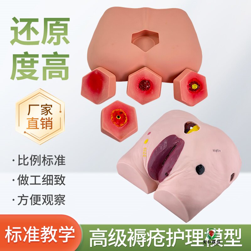 黄和模型医院培训高级老年人褥疮