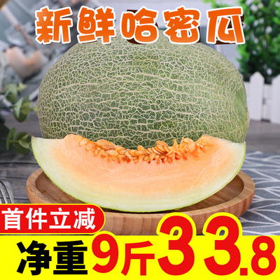 海南哈密瓜新鲜9斤当季水果脆甜网纹蜜瓜西州蜜瓜甜瓜批发包邮