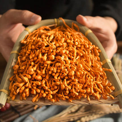 【带孢子头】虫草花干货新鲜无硫非西藏内蒙北虫草煲汤160g