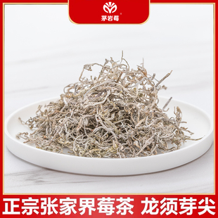 特级张家界莓茶茅岩莓茶正品 龙须芽尖霉茶土家藤茶清明莓茶野生