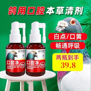 汉诺威口腔净鸽子清理口腔赛鸽信鸽种鸽幼鸽子毛滴虫清理到手2瓶