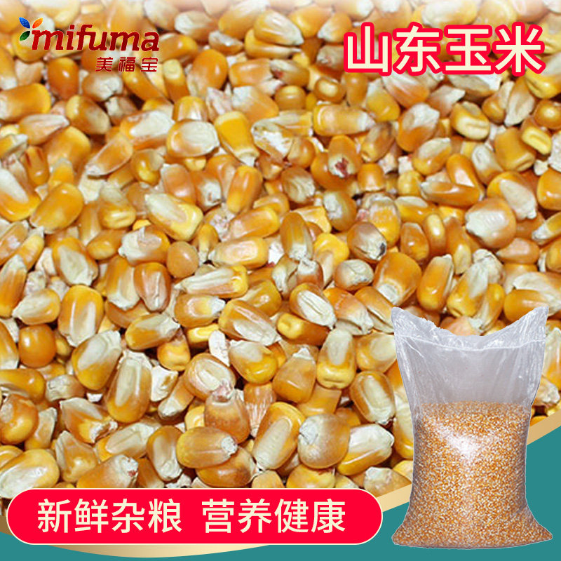 50斤优质玉米鸽子饲料山东玉米黄玉米鸽子粮食玉米江浙沪皖包邮