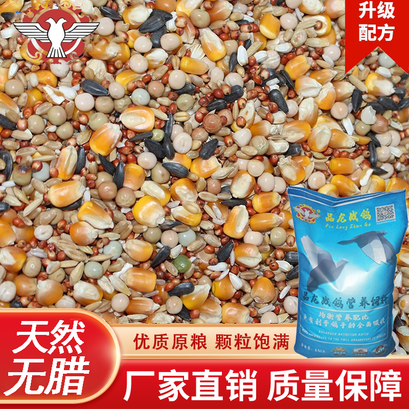 简易鸽粮营养带玉米鸽子粮食