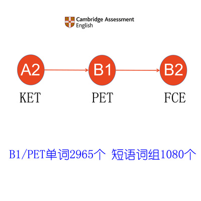 艾宾浩斯小学初中单词记忆法MSE考试PET单词B1词组科学背诵纸质