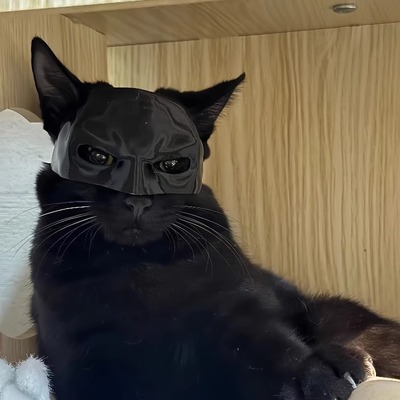 蝙蝠侠猫咪头套面具帅气cos道具