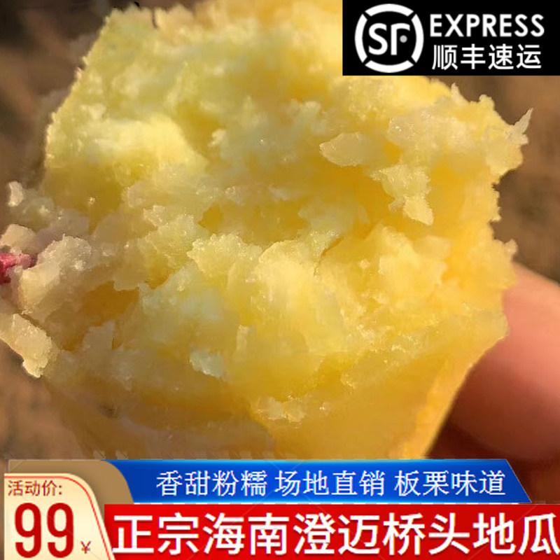 现挖新鲜澄迈沙地桥头富硒地瓜正宗海南红薯农家粉糯板栗番薯10斤