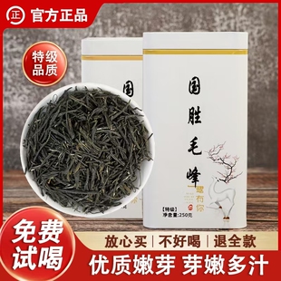 2024新茶笮茗润阳光茶叶国胜绿特级毛峰浓香型高品口粮茶